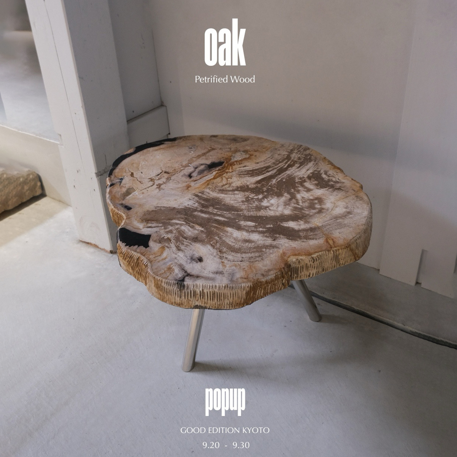 珪化木 木化石 古第三記～中生代 化石 奥能登産 形化木 台付 観賞用 オブジェ 珪化木 木化石 古第三記～中生代 化石 奥能登産 形化木 台付